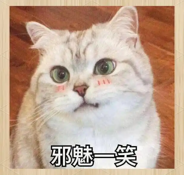 宠物健康换毛期护理_宠物换毛期处理方法_季节性换毛期的护理要点