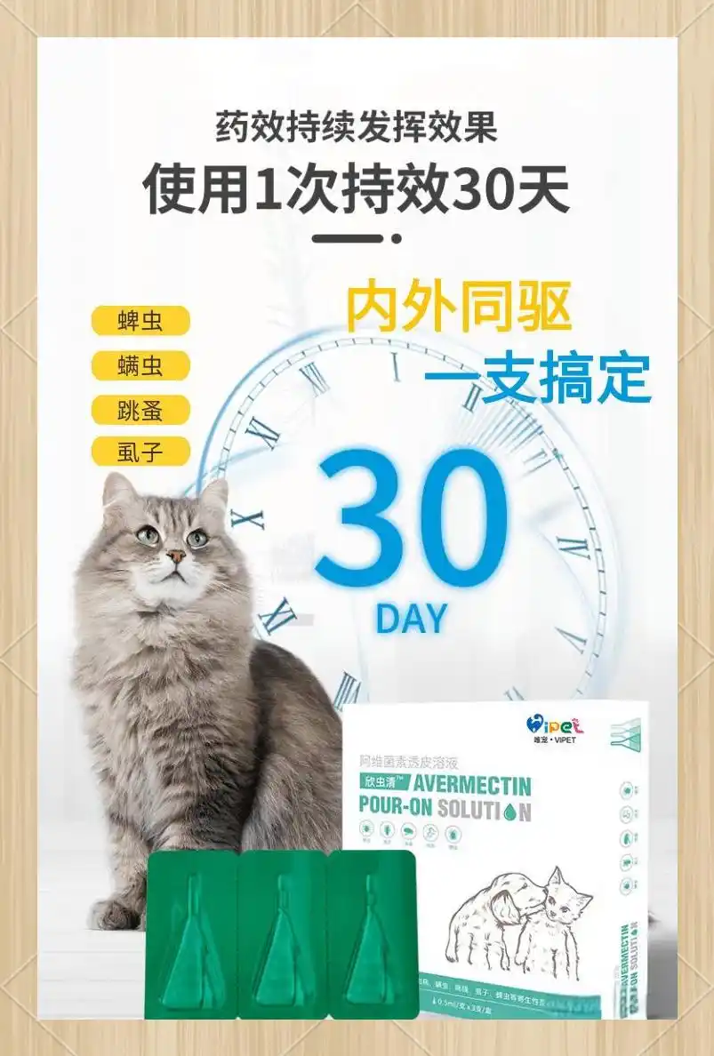 季节性换毛期的护理要点_宠物健康换毛期护理_宠物换毛期处理方法