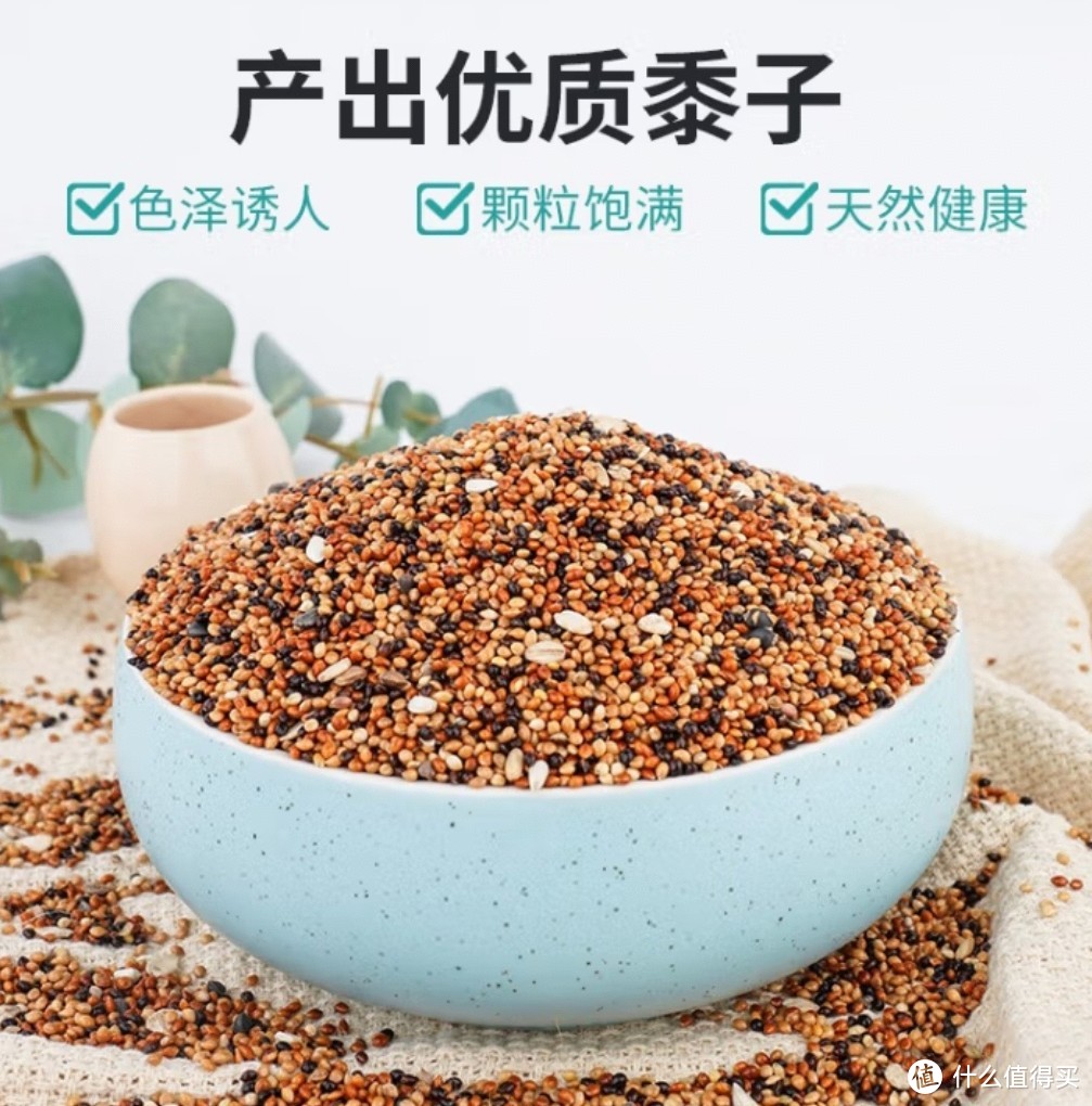 玄凤鹦鹉喂养要点_鹦鹉健康注意事项_鸟类日常关节保养要点