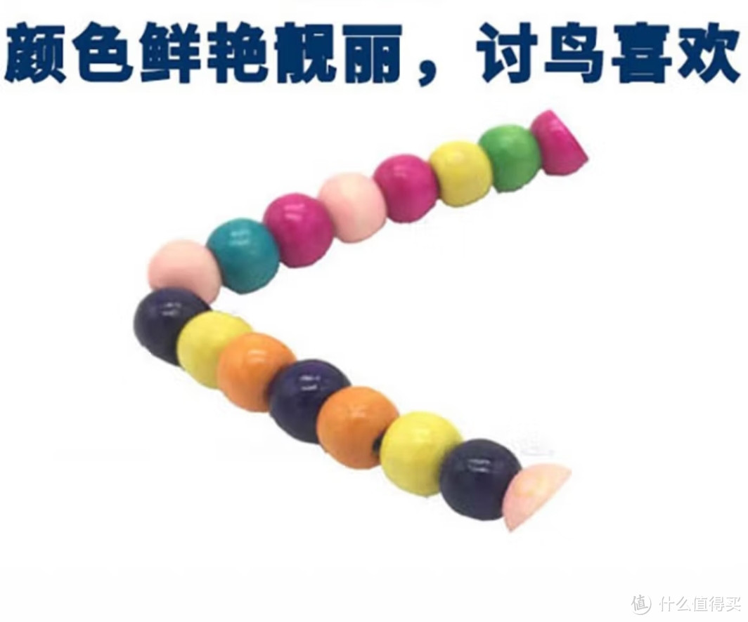 鹦鹉健康注意事项_玄凤鹦鹉喂养要点_鸟类日常关节保养要点