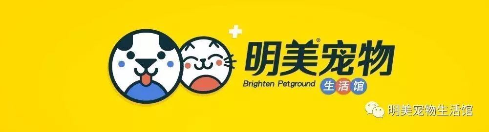 狗狗换毛期注意事项_宠物换毛期清理方法_季节性换毛期的护理要点