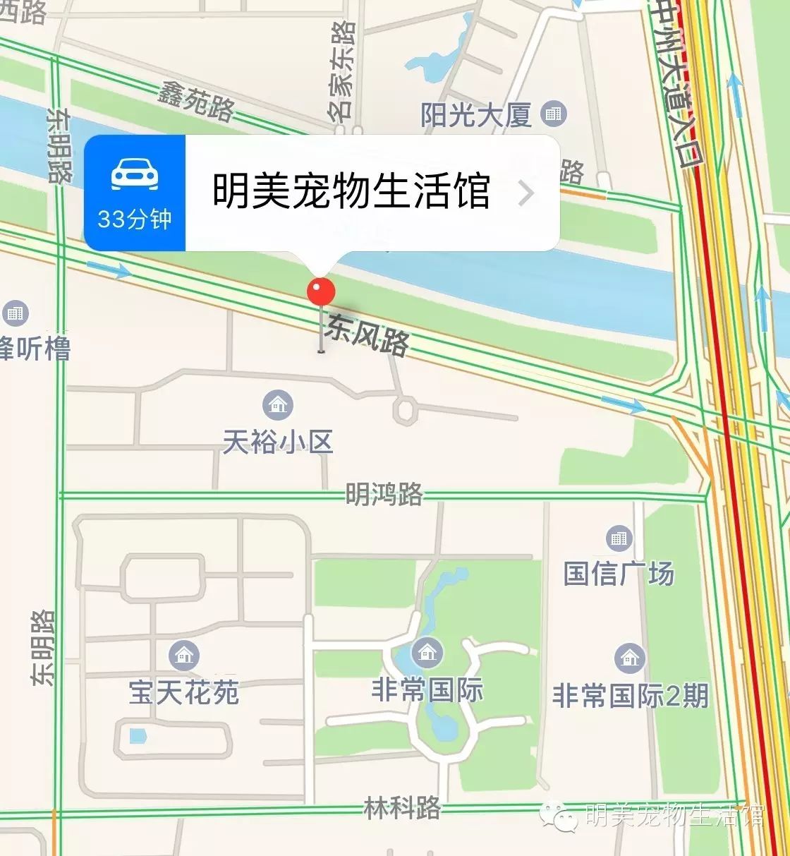 狗狗换毛期注意事项_宠物换毛期清理方法_季节性换毛期的护理要点