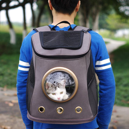 猫咪适应猫包训练方法_猫咪猫包选择技巧_如何选择最适合猫咪的猫窝