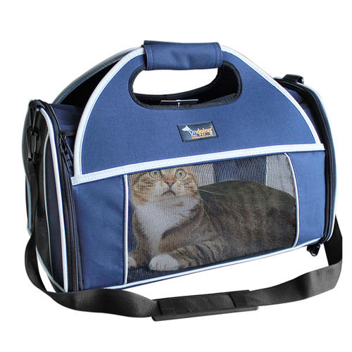 如何选择最适合猫咪的猫窝_猫咪适应猫包训练方法_猫咪猫包选择技巧