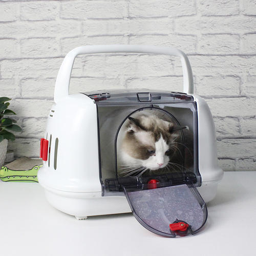 猫咪猫包选择技巧_如何选择最适合猫咪的猫窝_猫咪适应猫包训练方法