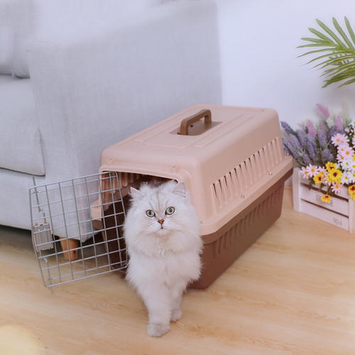 如何选择最适合猫咪的猫窝_猫咪适应猫包训练方法_猫咪猫包选择技巧