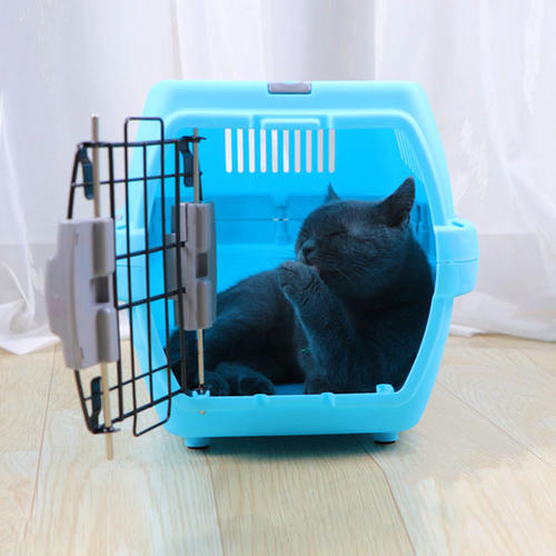 猫咪适应猫包训练方法_猫咪猫包选择技巧_如何选择最适合猫咪的猫窝