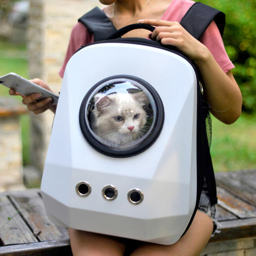 猫咪猫包选择技巧_如何选择最适合猫咪的猫窝_猫咪适应猫包训练方法