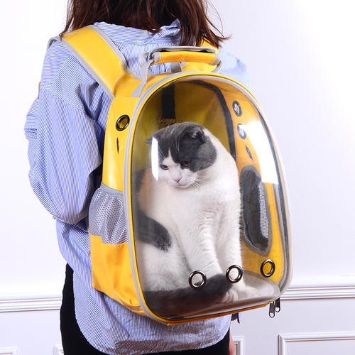 猫咪适应猫包训练方法_猫咪猫包选择技巧_如何选择最适合猫咪的猫窝