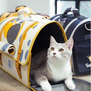 猫咪猫包选择技巧_猫咪适应猫包训练方法_如何选择最适合猫咪的猫窝