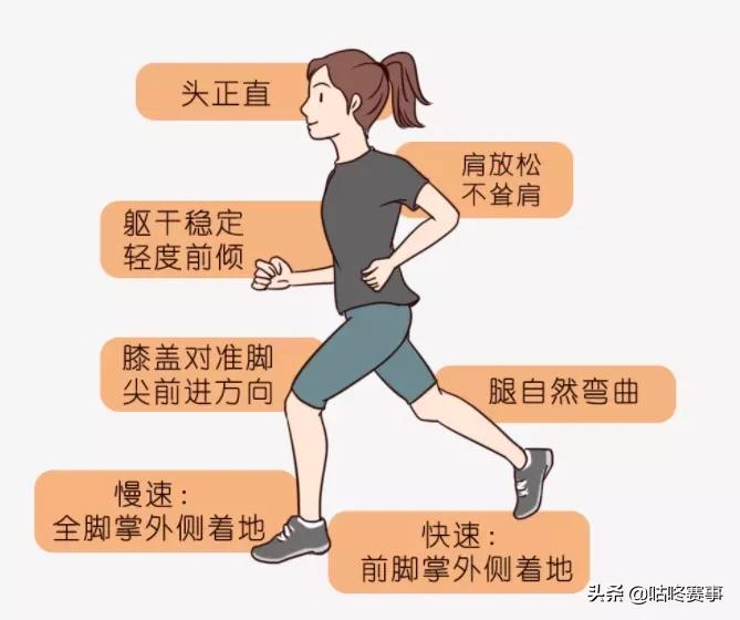 胫骨骨膜炎症状_猫咪骨膜炎：创伤后骨膜反应_跑步小腿疼痛原因