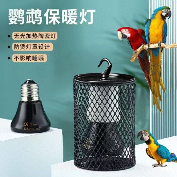 鹦鹉过冬神器推荐_鸟类笼内空气流通的重要性_鹦鹉冬季保温方法