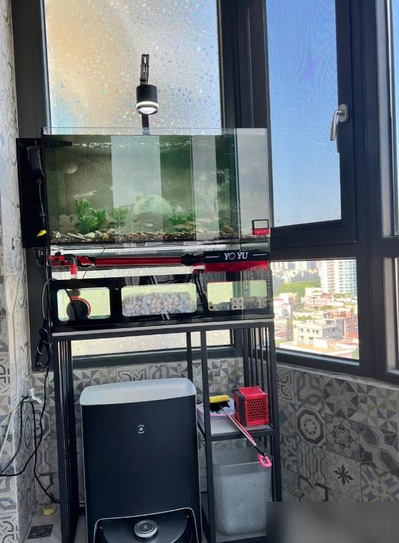 鱼缸摆放位置禁忌_鱼缸风水摆放位置_鱼缸摆放位置的风水讲究