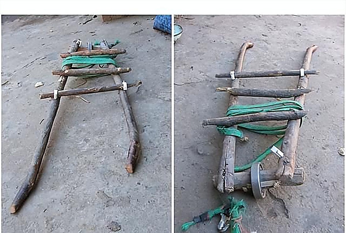 童年玩具回忆_如何为鸟类制作安全玩具_中国玩具产业发展报告