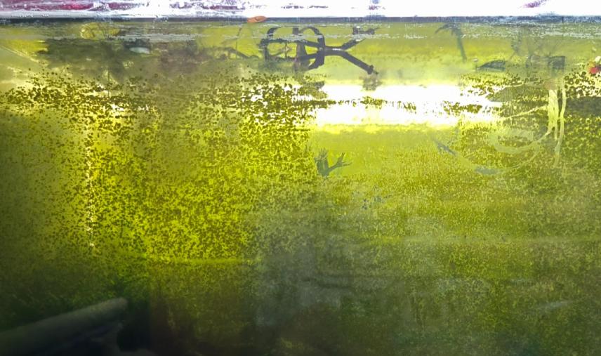 鱼缸摆放风水禁忌_鱼缸摆放位置的风水讲究_鱼缸摆放位置选择