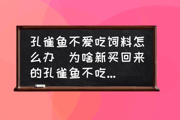 孔雀鱼不爱吃饲料怎么办(为啥新买回来的孔雀鱼不吃鱼食?)-派特超人-宠物