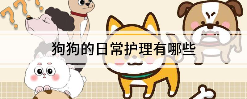 狗狗的日常护理有哪些-派特超人-宠物