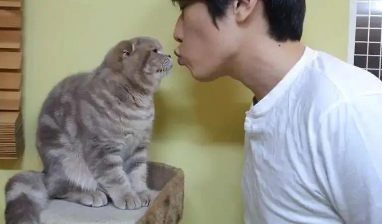 猫咪口腔健康问题_猫咪嘴巴周围红肿可能是过敏_猫咪口臭原因及解决方法
