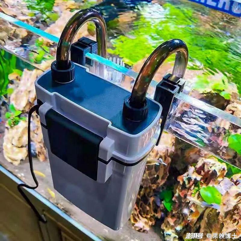 金鱼水族箱选择_金鱼饲养中的换水频率_金鱼养殖技巧