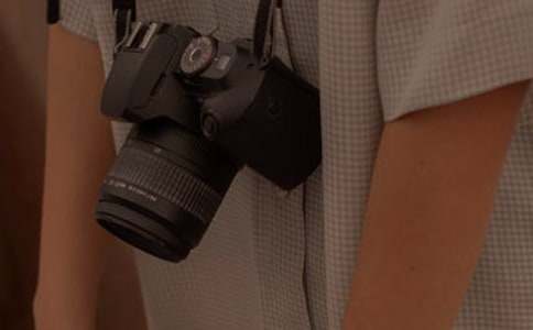 拍摄鸟类的入门技巧-派特超人-宠物