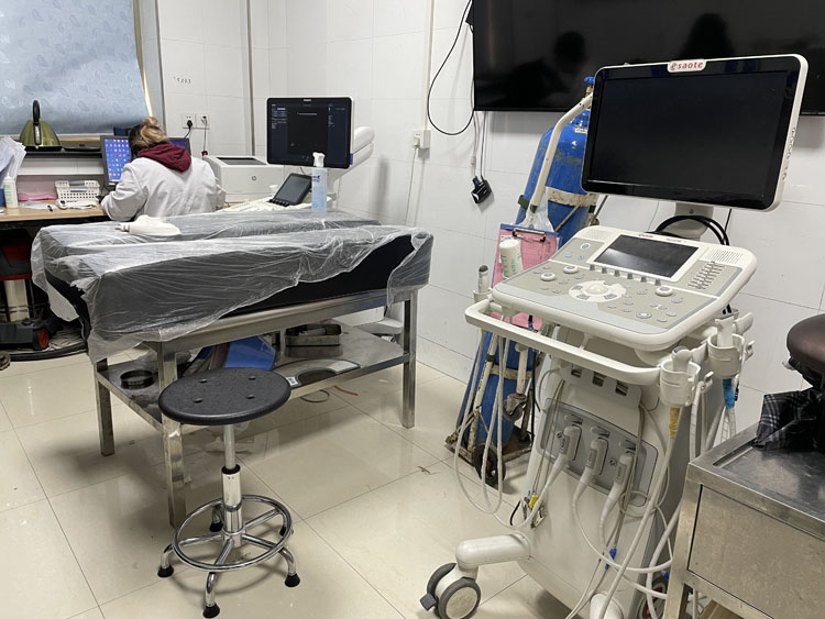 狗体毛梳理与护理-派特超人-宠物