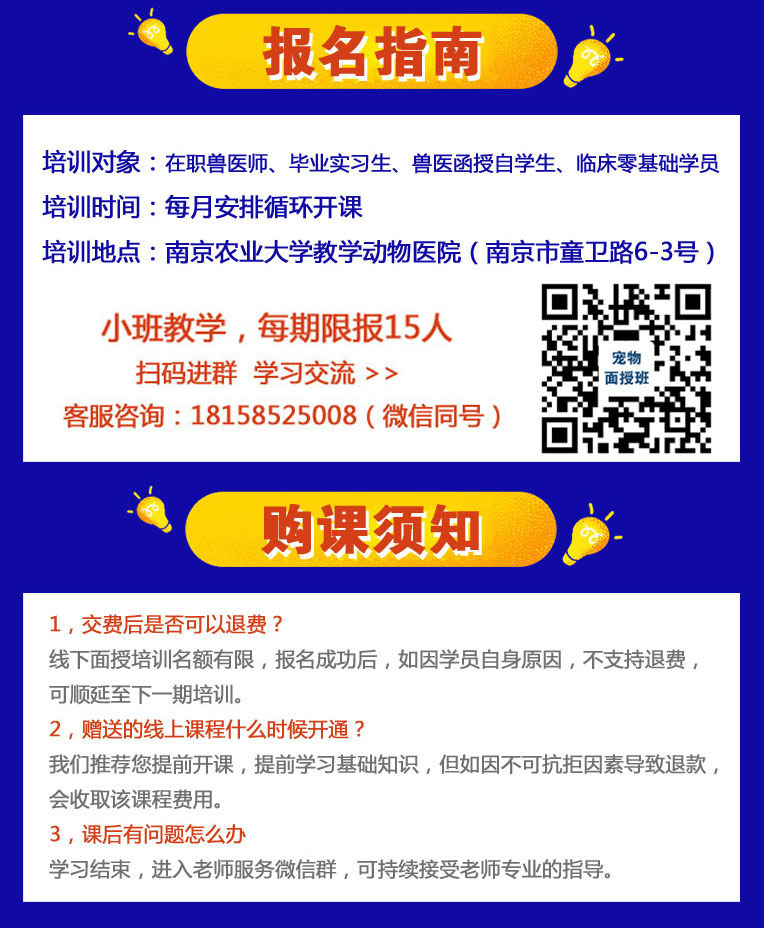 宠物狗体毛梳理方法_长毛犬梳理技巧_长毛犬腿内侧毛发的清洁