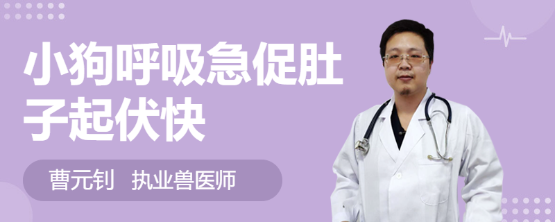 狗狗呼吸急促原因_狗狗呼吸急促？心脏病的征兆和急救措施_狗狗腹部起伏处理