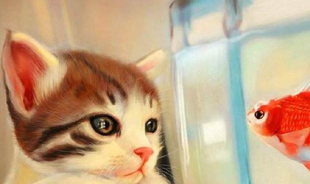 猫咪洗澡不抓人的训练方法_猫怕水原因_猫咪洗澡不配合