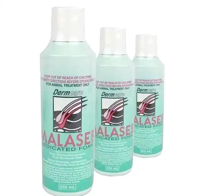 猫藓防治全面指南:保护猫咪健康的人畜共患病对策-派特超人-宠物