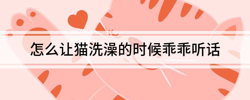 怎么让猫洗澡的时候乖乖听话-派特超人-宠物