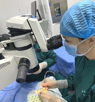 猫咪视力下降：老年猫白内障护理_重庆西区医院眼科特护计划_老年性白内障治疗过程
