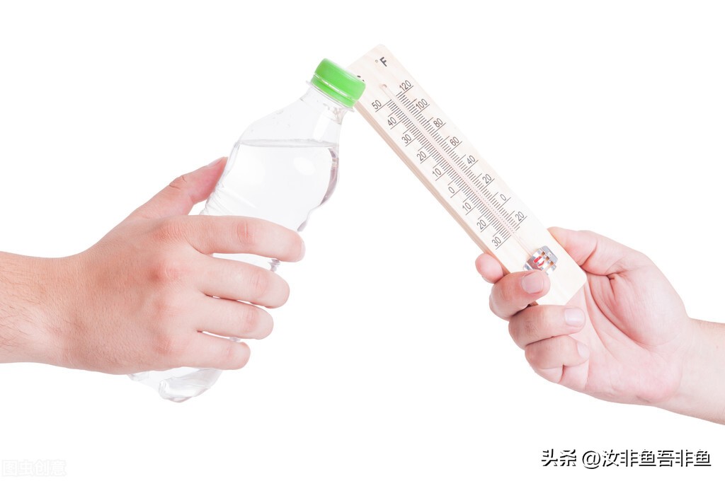 孔雀鱼繁殖过程_孔雀鱼繁殖箱布置指南_孔雀鱼生产前兆