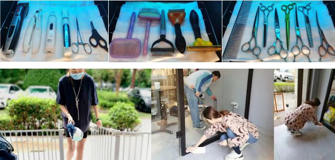 小佩宠物店是怎么消毒的？-派特超人-宠物