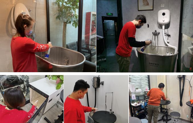 小佩宠物门店消毒流程_宠物上门服务的消毒流程全揭秘_宠物店一客一消杀标准