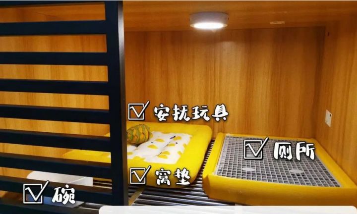 小佩宠物门店消毒流程_宠物上门服务的消毒流程全揭秘_宠物店一客一消杀标准