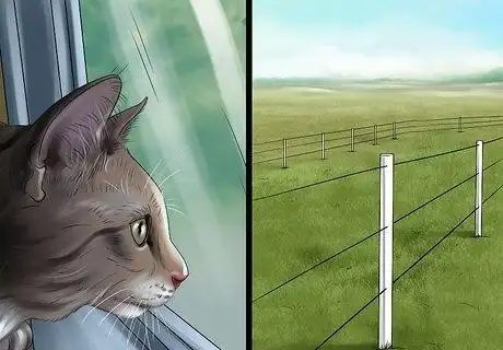 猫咪触电急救措施_室内猫防触电方法_猫咬电源线防护措施