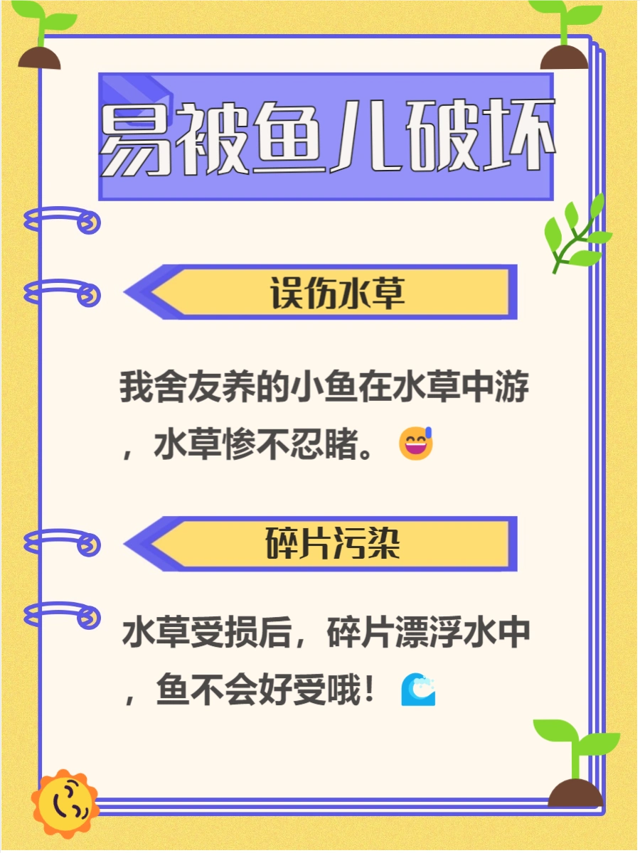 养鱼水草光照需求_养鱼水草水质要求_鱼缸植物腐烂对鱼的影响