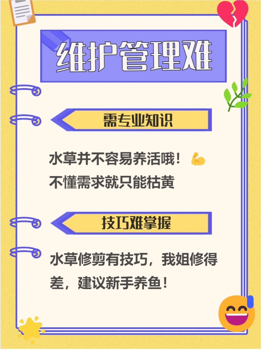 养鱼水草光照需求_鱼缸植物腐烂对鱼的影响_养鱼水草水质要求