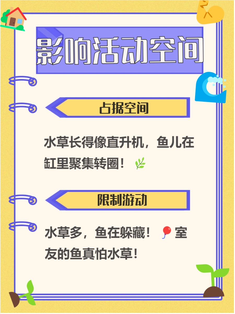 鱼缸植物腐烂对鱼的影响_养鱼水草光照需求_养鱼水草水质要求