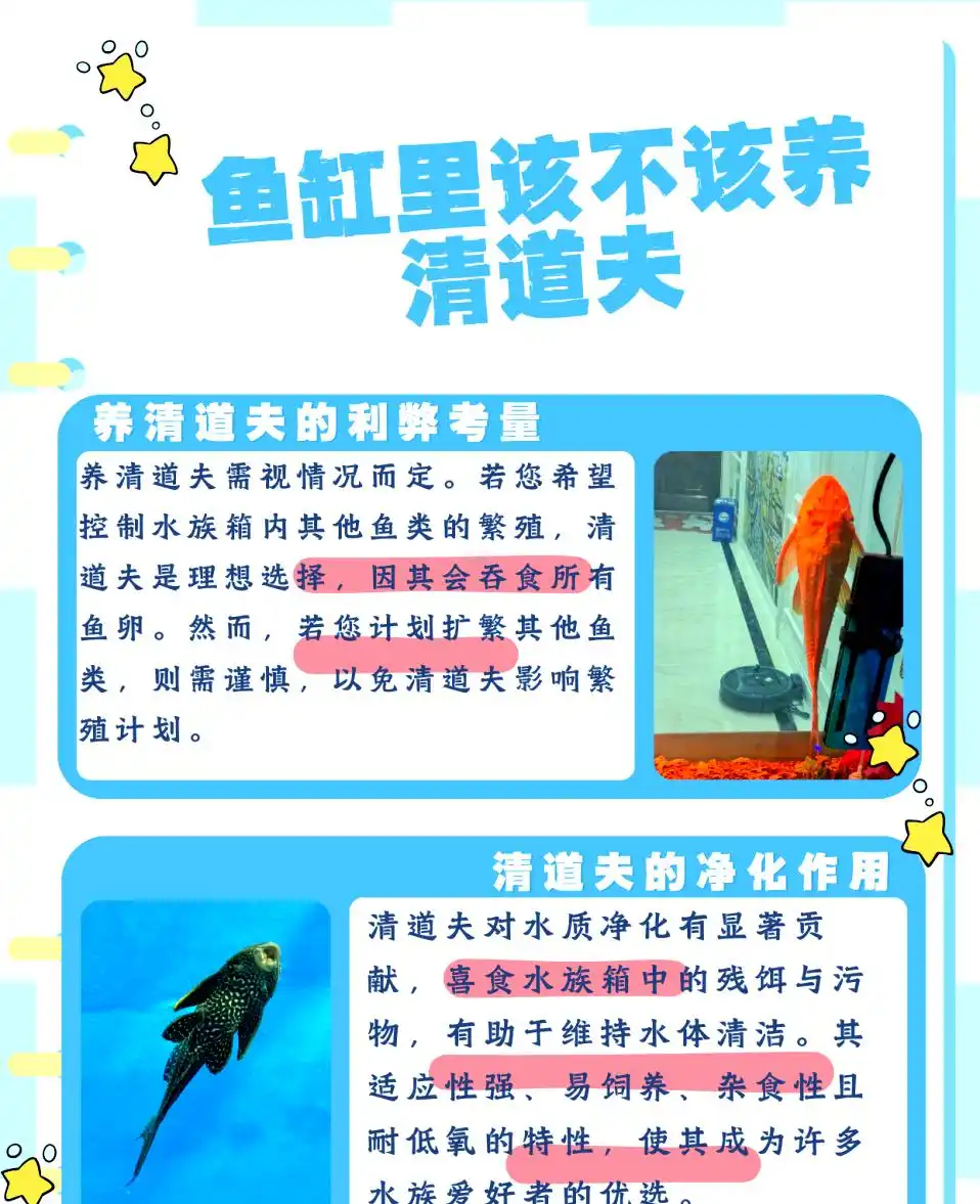鱼缸清洁四步法_鱼缸水质保养的5个常见误区_清澈水质维护技巧