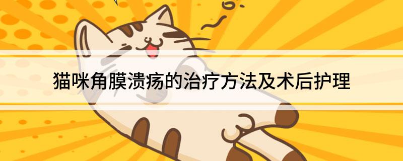 猫咪角膜溃疡的治疗方法及术后护理-派特超人-宠物