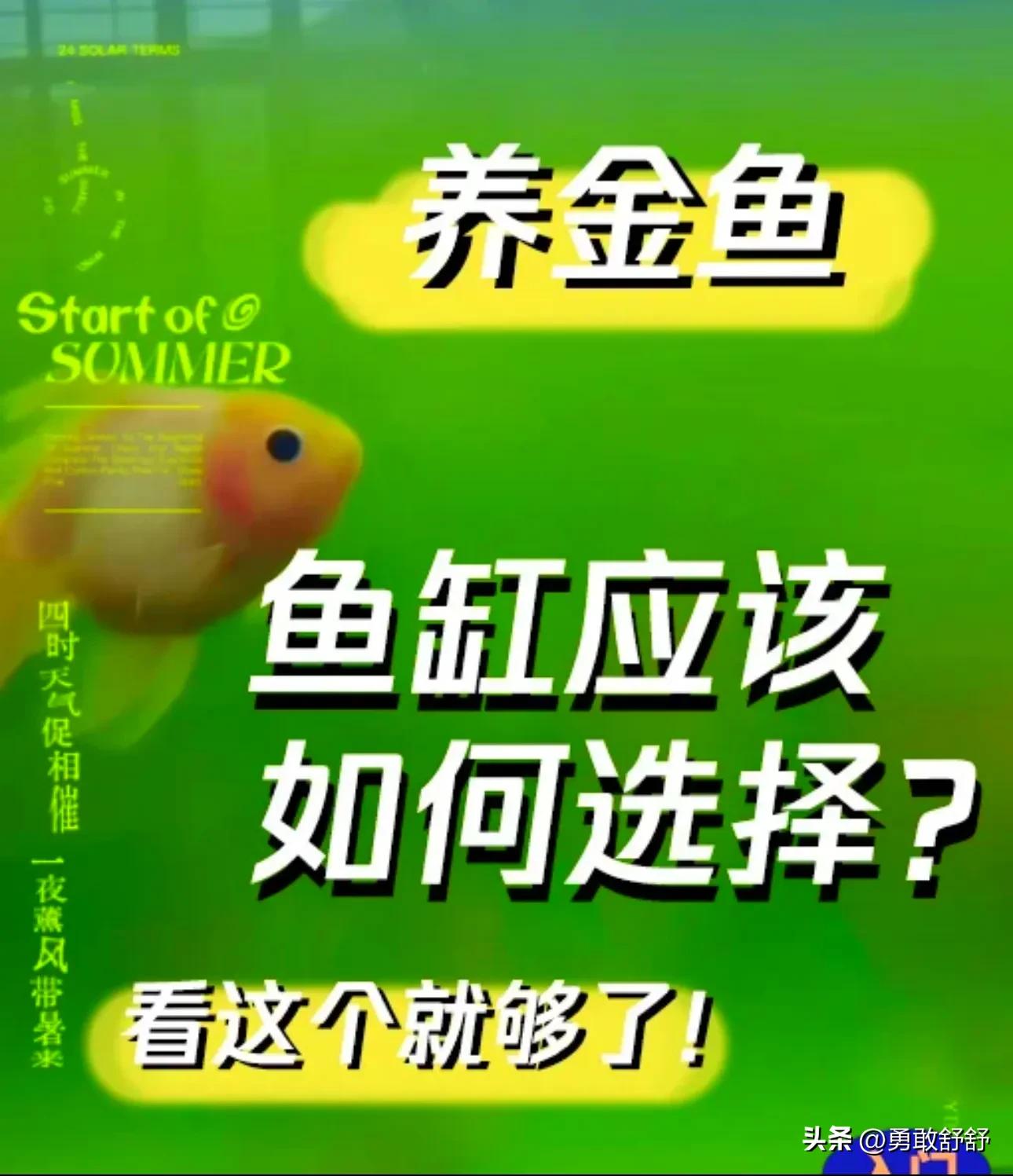 底砂选择会直接影响水质_鱼缸水质管理技巧_新手养鱼水质调节方法