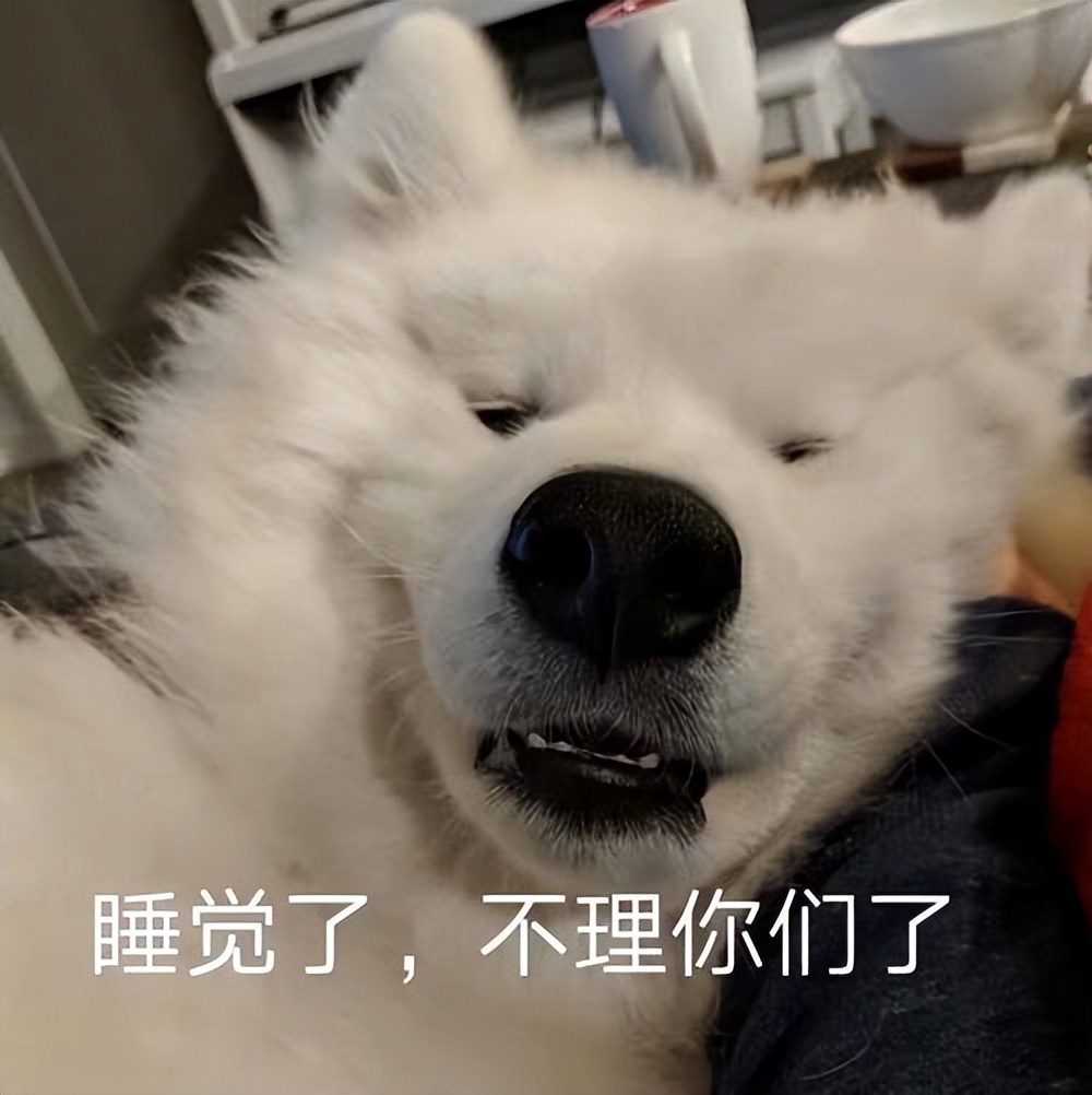 狗狗有这些表现，可能是“发烧”了，主人别忽视！-派特超人-宠物