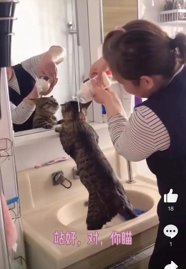 猫主人性格影响猫咪性格_如何正确给猫咪剪指甲_老人养猫性格差异