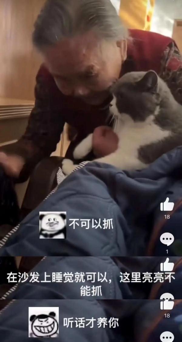 老人养猫性格差异_猫主人性格影响猫咪性格_如何正确给猫咪剪指甲