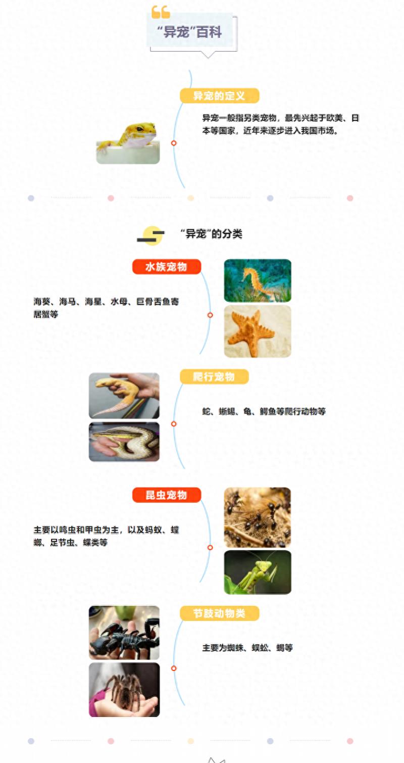 异宠成新型病原体传播重要媒介，如何降低异宠传播疾病风险？-派特超人-宠物