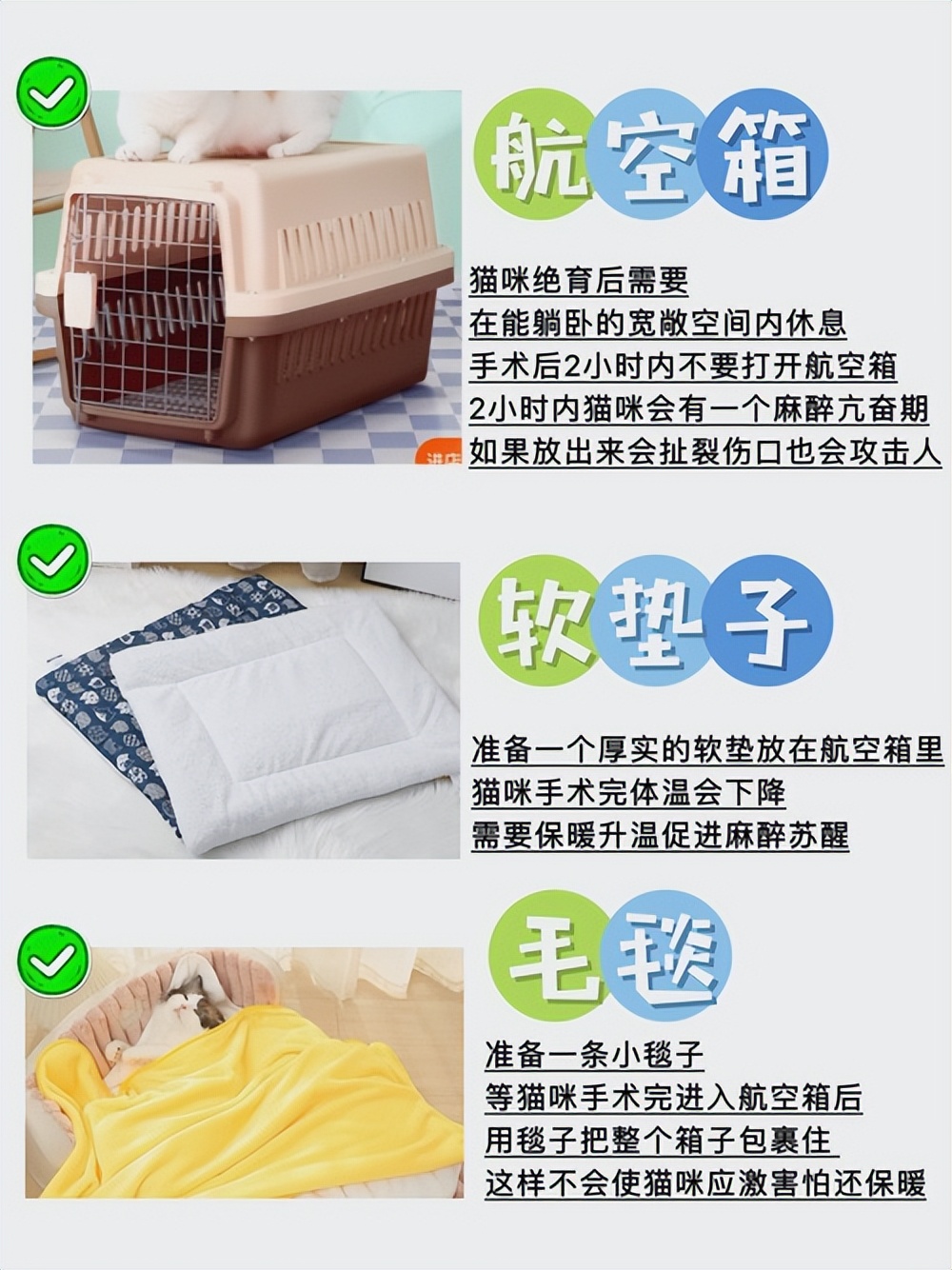 猫咪绝育前需要做什么准备：术前准备和术后注意事项-派特超人-宠物