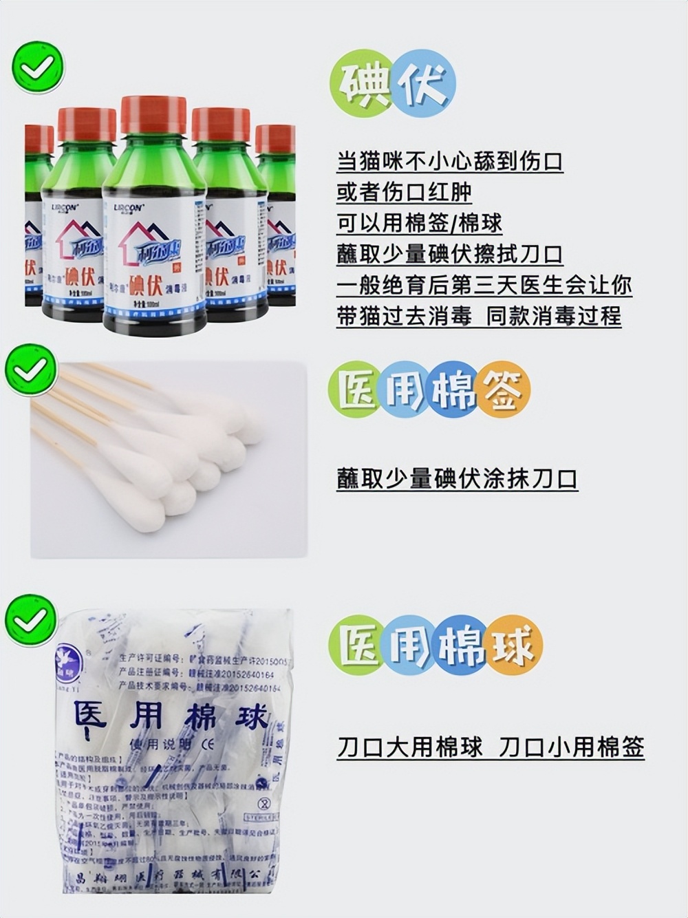 猫咪绝育术后注意事项_如何正确给猫咪剪指甲_猫咪绝育术前准备物品