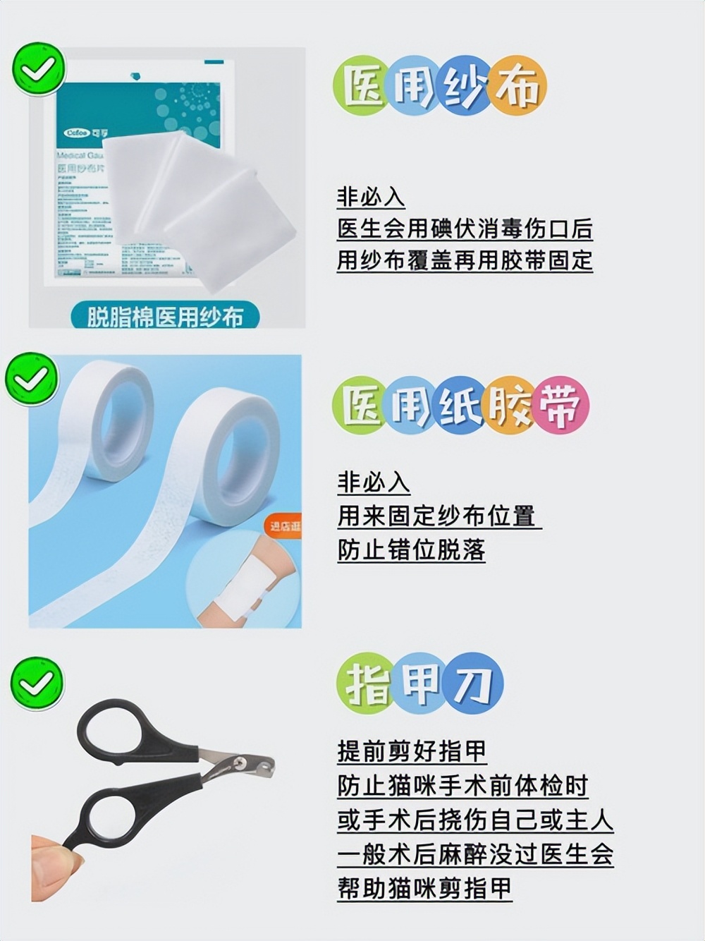 猫咪绝育术后注意事项_如何正确给猫咪剪指甲_猫咪绝育术前准备物品
