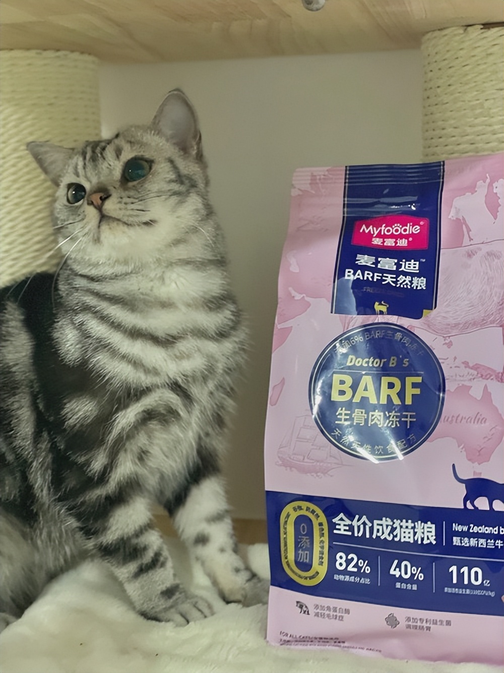 猫咪绝育术前准备物品_如何正确给猫咪剪指甲_猫咪绝育术后注意事项